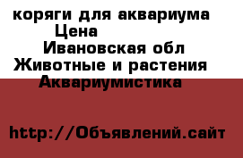 коряги для аквариума › Цена ­ 300-1000 - Ивановская обл. Животные и растения » Аквариумистика   